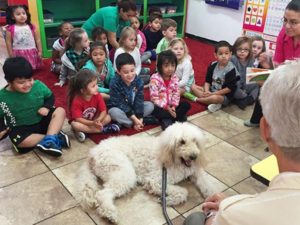 EduCare Special guest, therapy dog sits in front of the classroom